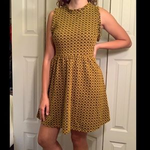 Fit & Flare | Black & Gold Dress